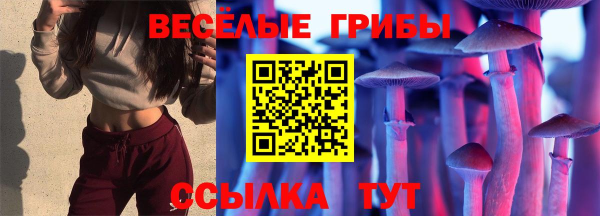 Псилоцибиновые грибы Cubensis  Галлюциногенные грибы Psilocybine cubensis  Вход с VPN  Казань 